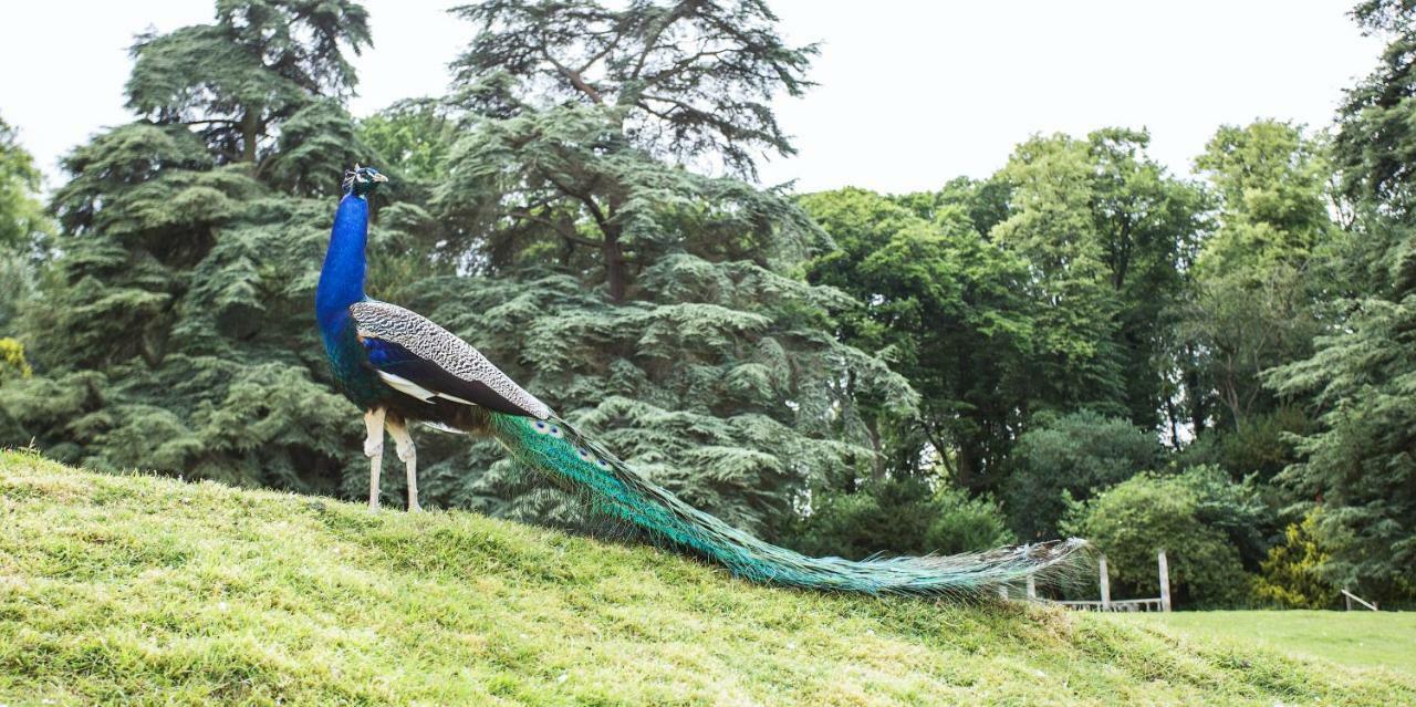 Pendley Manor Hotell Tring Eksteriør bilde